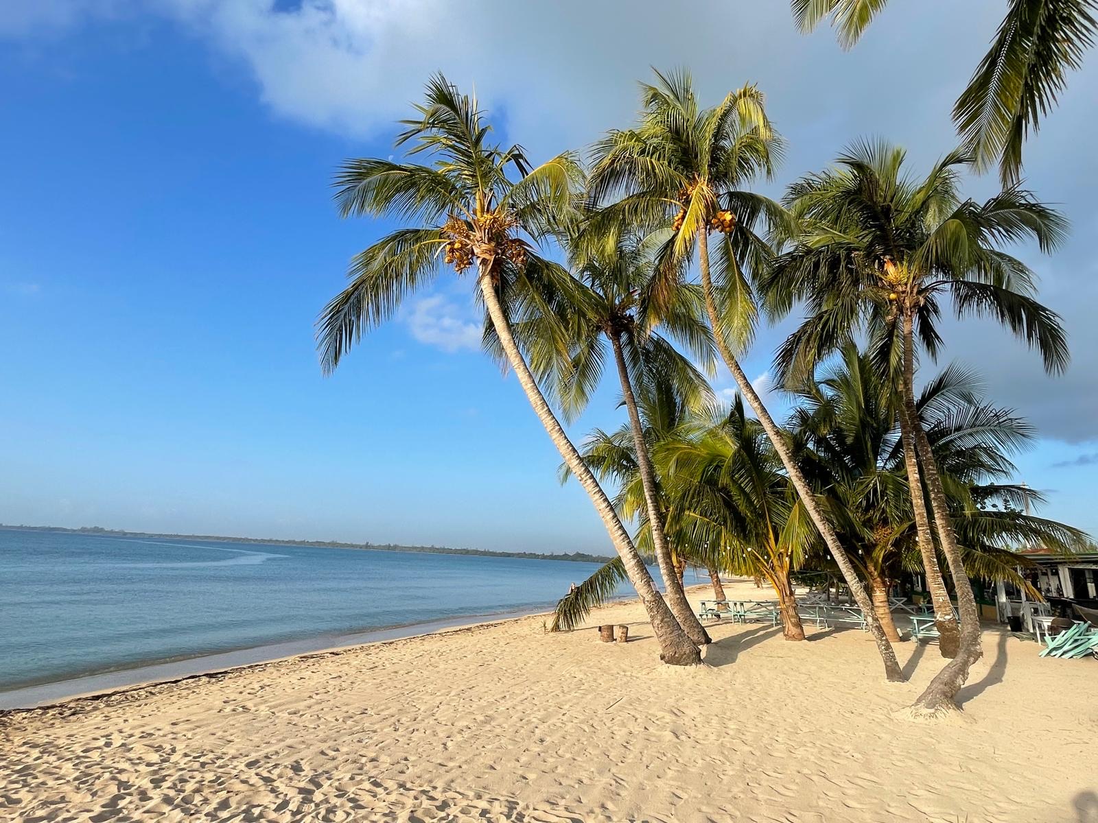 whtsapp image 2025 07 22 at 15.37.11 whtsapp image 2025 07 22 at 15.37.11