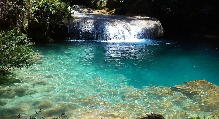 el nicho 2 1 el nicho 2 1