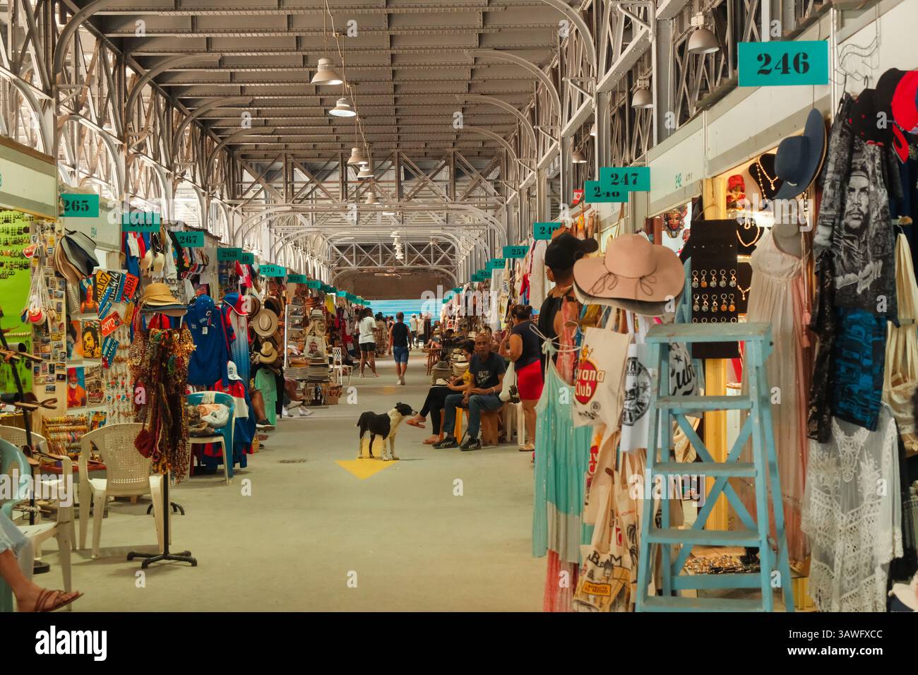 havana cuba 2024 apr17 colourful stalls line the covered aisles of almacenes san jos artisans market locals and tourists browse handmade crafts 3awfxcc