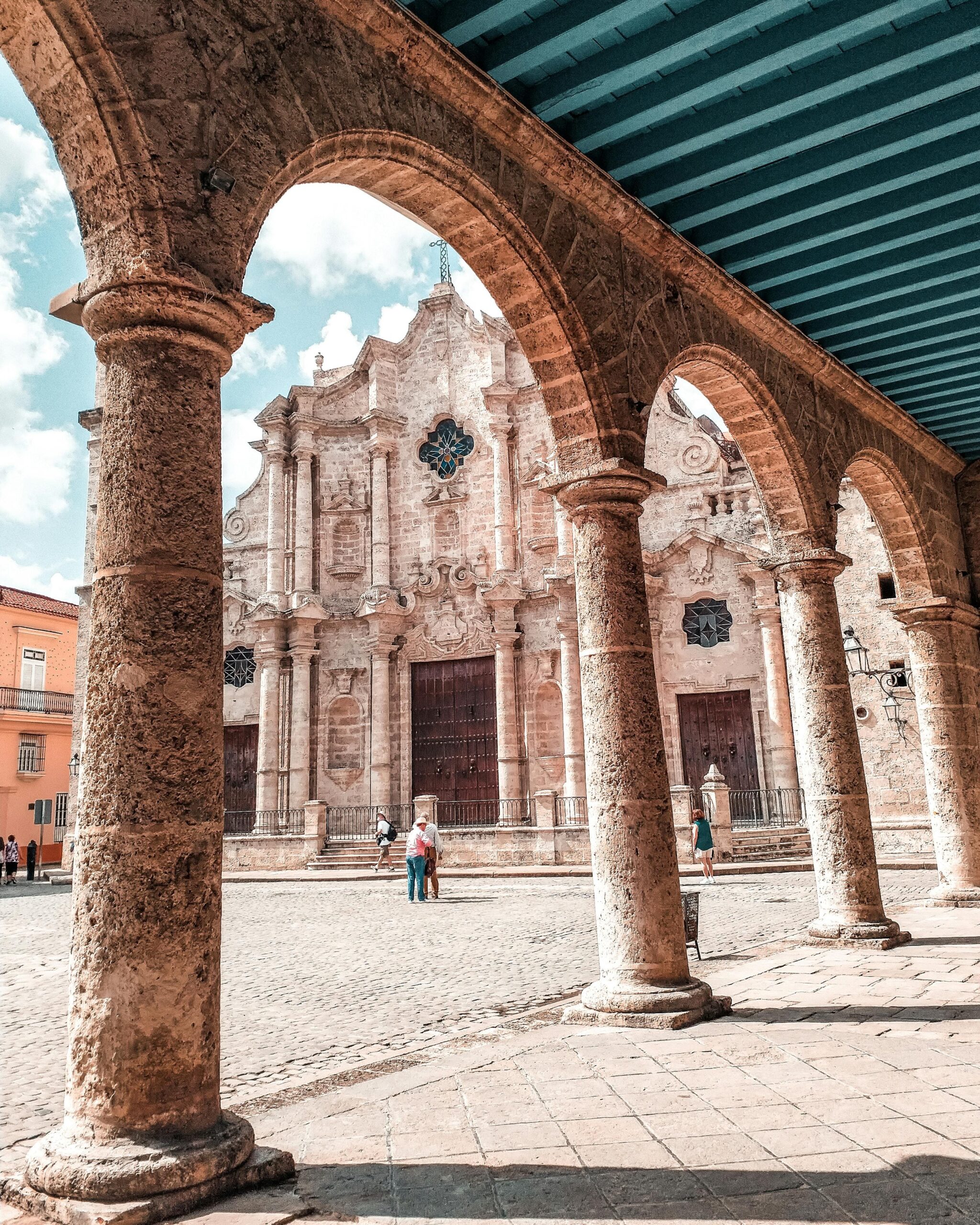 pexels aleksmagnusson 3441200 pexels aleksmagnusson 3441200