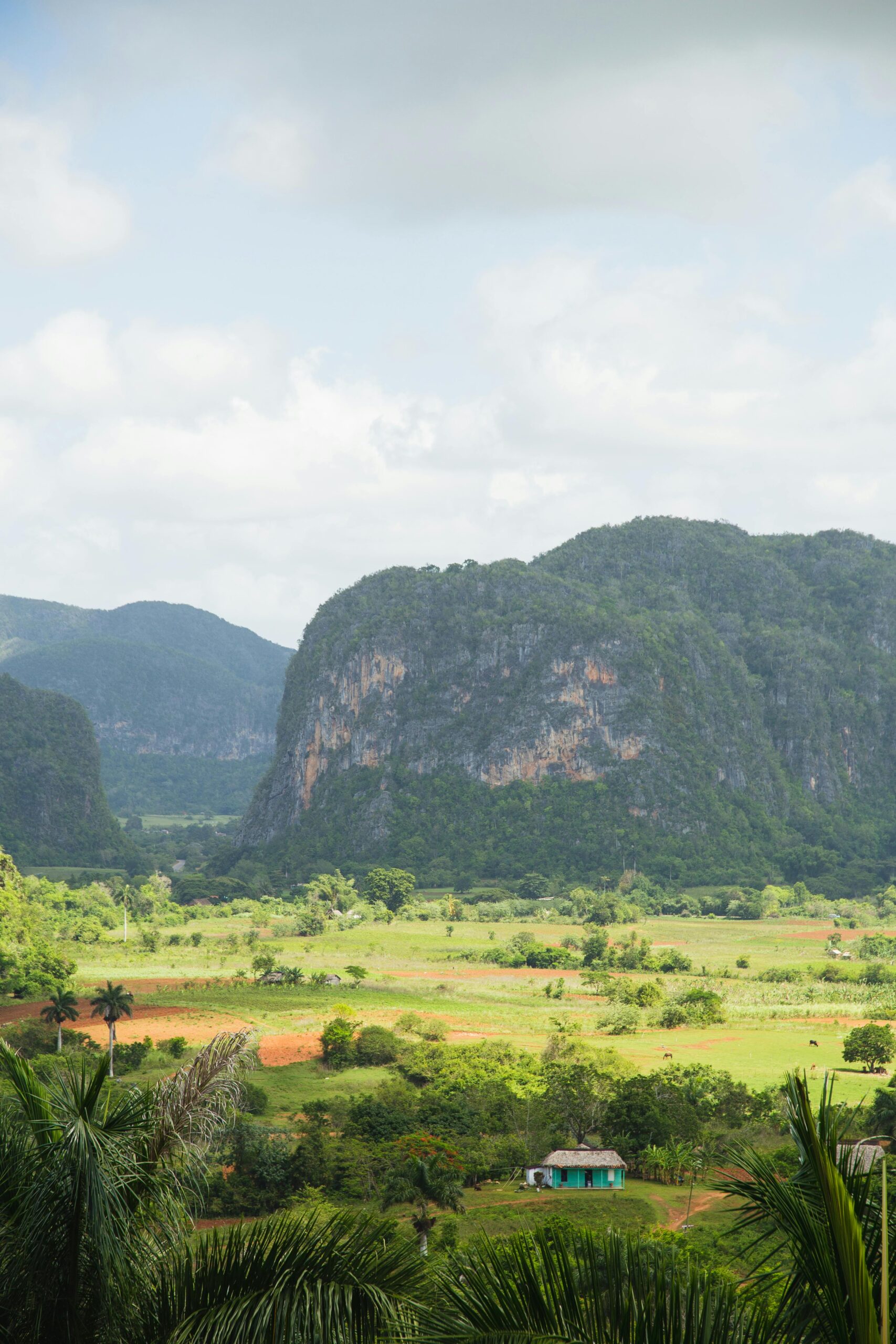 pexels ryutaro 5472348 pexels ryutaro 5472348